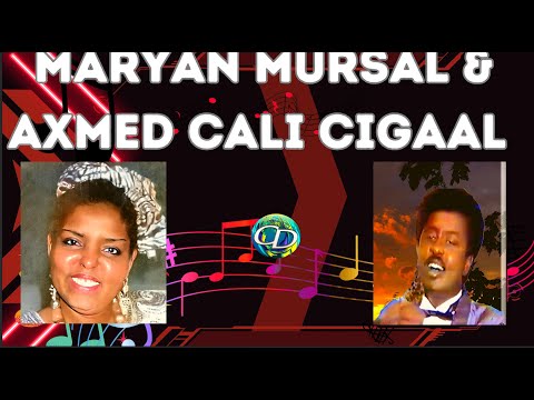 Maryan Mursal Axmed Cali Cigaal Heesta Ma Ogtahay Warmoogay