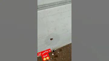 بد شانسی سوراخ شدن لوله اب 