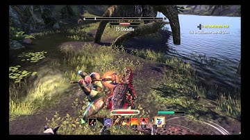 The Elder Scrolls Online: Tamriel Unlimited wrecking blow bug
