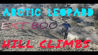 Arctic Leopard makes hill climbs look easy!! White Hills Utah