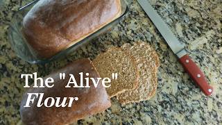Why the Switch to Fresh Milled Flour. A Christian Homemaker's Perspective.