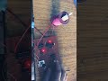Four Quadrant DC Motor speed control system with halt without Microcontroller