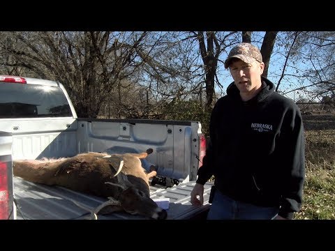 How To Remove Lymph Nodes For CWD Testing