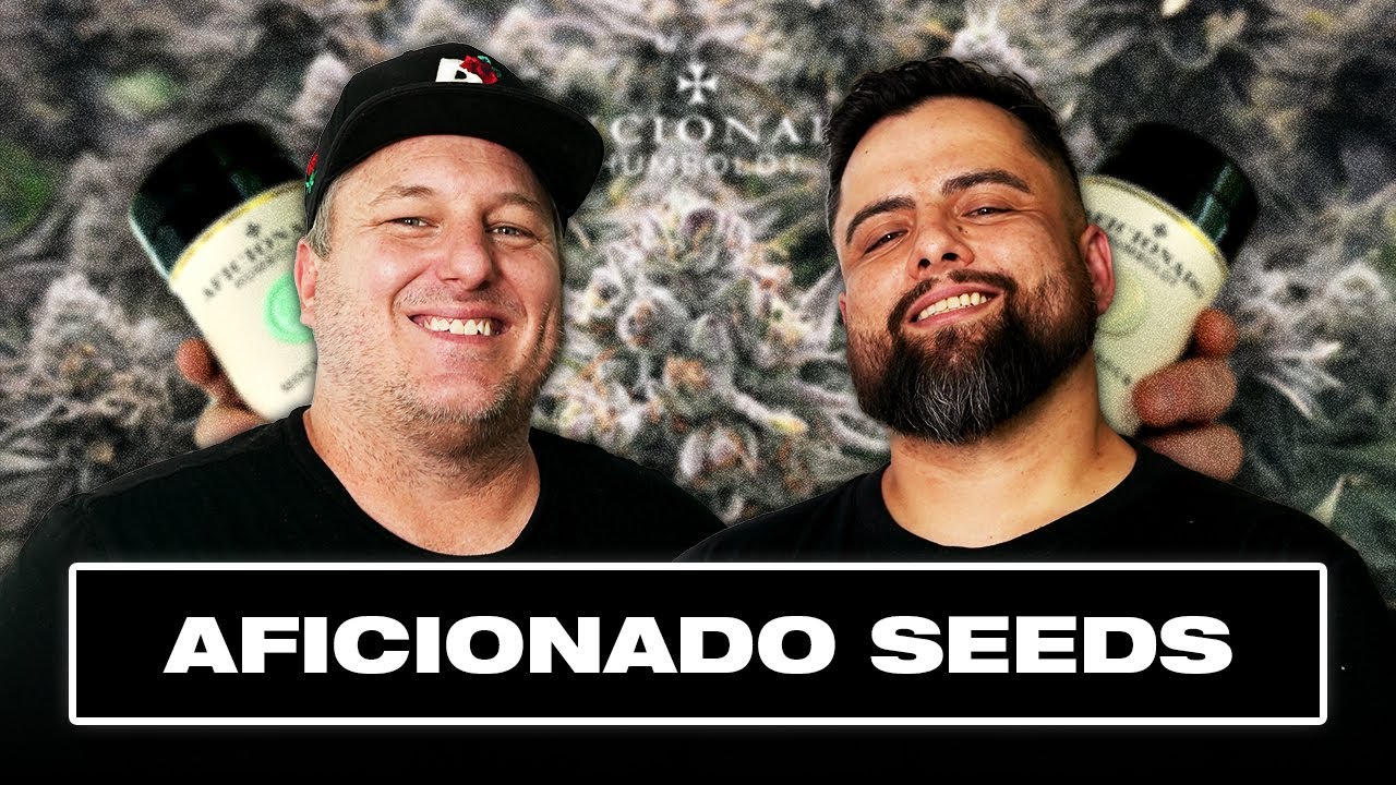 Aficionado Seeds: Leo Stone on Humboldt Outlaw Roots & Legendary Genetics