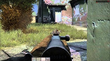 DayZ Lucky SKS Kill