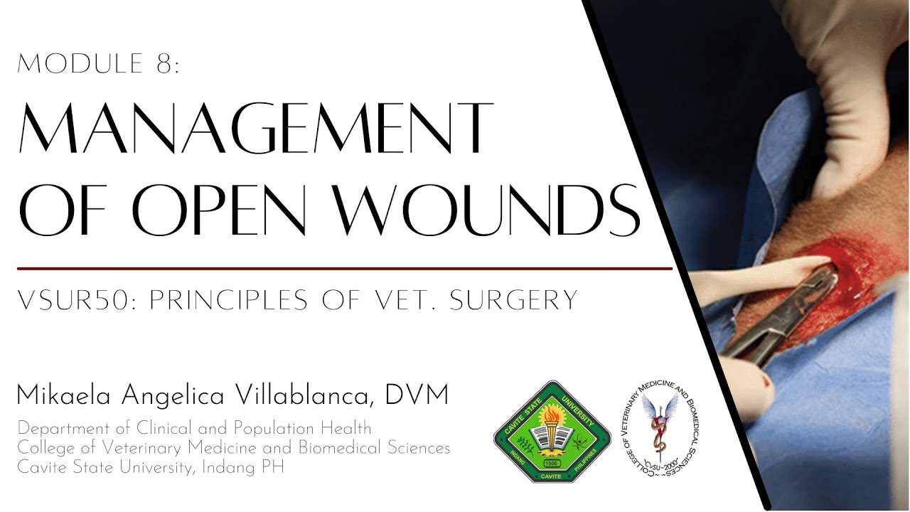 VSUR50 Module 8: Management of Open Wounds