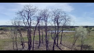 Persimmon Island Winter 2022 - 2023