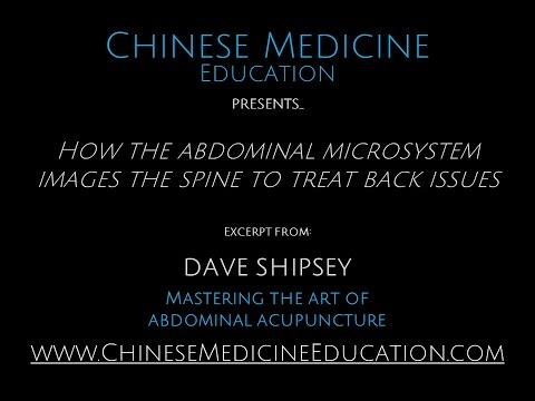 How the Abdominal Microsystem Images the Spine