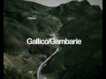 Gallico gambarie