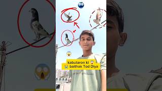 KABUTARON KI BAITHAK TOD DIYA 😱😭🕊️ #minivlog #vlog #sorts