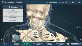 Human body (male) educational VR 3D application screenshot 1