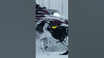 2026 Lynx Shredder doing Shredder things