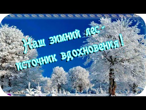 Наш зимний лес - источник вдохновения!❤️ Музыка Андрея Обидина ❤️Прекрасная мелодия саксофона❤️