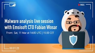 Malware Analysis Session with Emsisoft CTO Fabian Wosar: 'Damage' Ransomware Wealth
