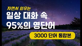 자면서 영어듣기｜직접 녹음한(AI❌) 일상 대화의 95% 를 차지하는 영단어 3000단어 발음 연습 (통합본)｜영단어 ASMR screenshot 2