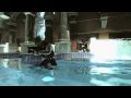 007 James Bond Quantum of Solace The Game Trailer HD