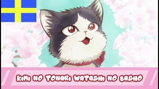 【Swedish Fandub】Kimi no Tonari Watashi no Basho - My Roommate is a Cat ED (+ English Subtitles)