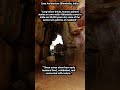 Cave Architecture#bhimbetka #worldarchitecture #historyofarchitecture#facts#history