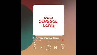 Download Lagu Dj Remix Senggol Dong MP3