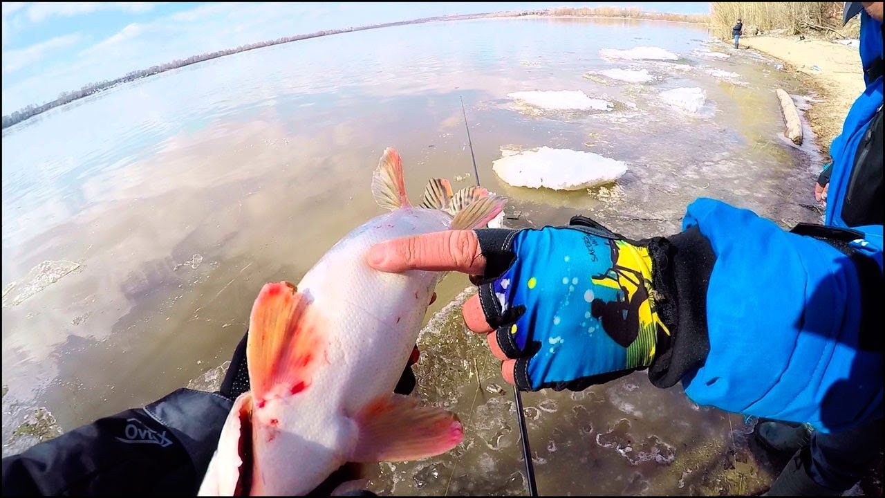 А щука то с СЮРПРИЗОМ!.. Рыбалка на спиннинг весной по мутной воде [Sibiryak007]