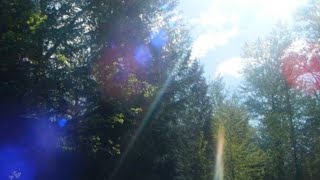 fading light (sped up) - friendly to crows & lochhaven 
