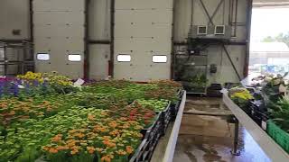 PRODUCTION AREA  I ISRAEL I FARM WORKER