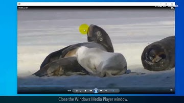 How to Play a  Video File or Movie File in Windows :Tutorial