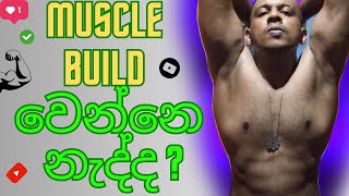 Muscle build කරන්න බැරි වෙන මුලික හේතුවක්| Muscle recovery/ bodybuilding Sinhala guide| Muscle build