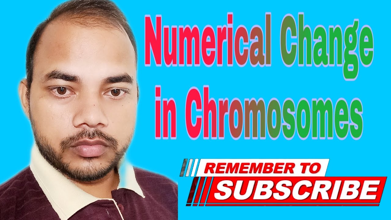 Numerical Change in Chromosomes - YouTube