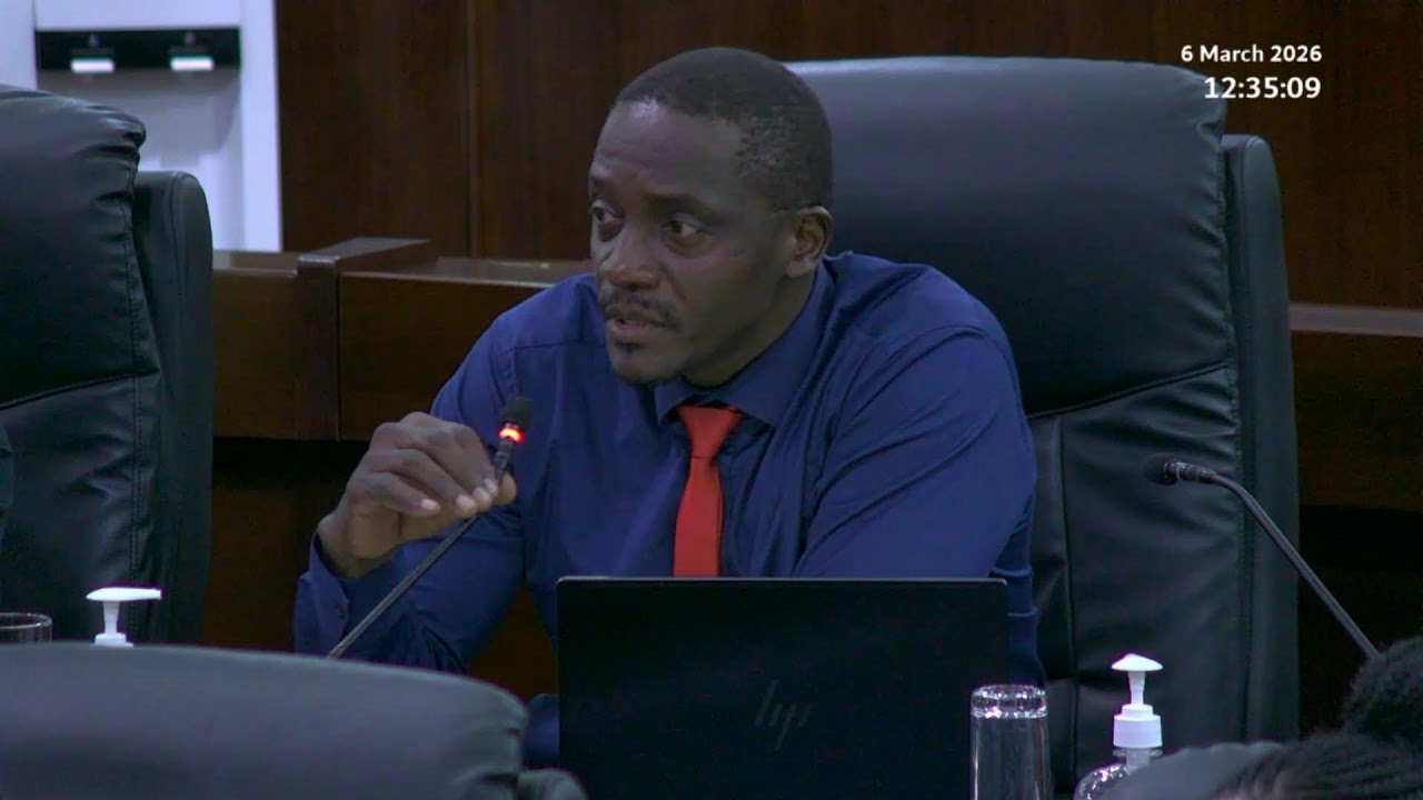 Budget 2026 Committee Stage - Sitting Friday 6 March 2026 Part 2