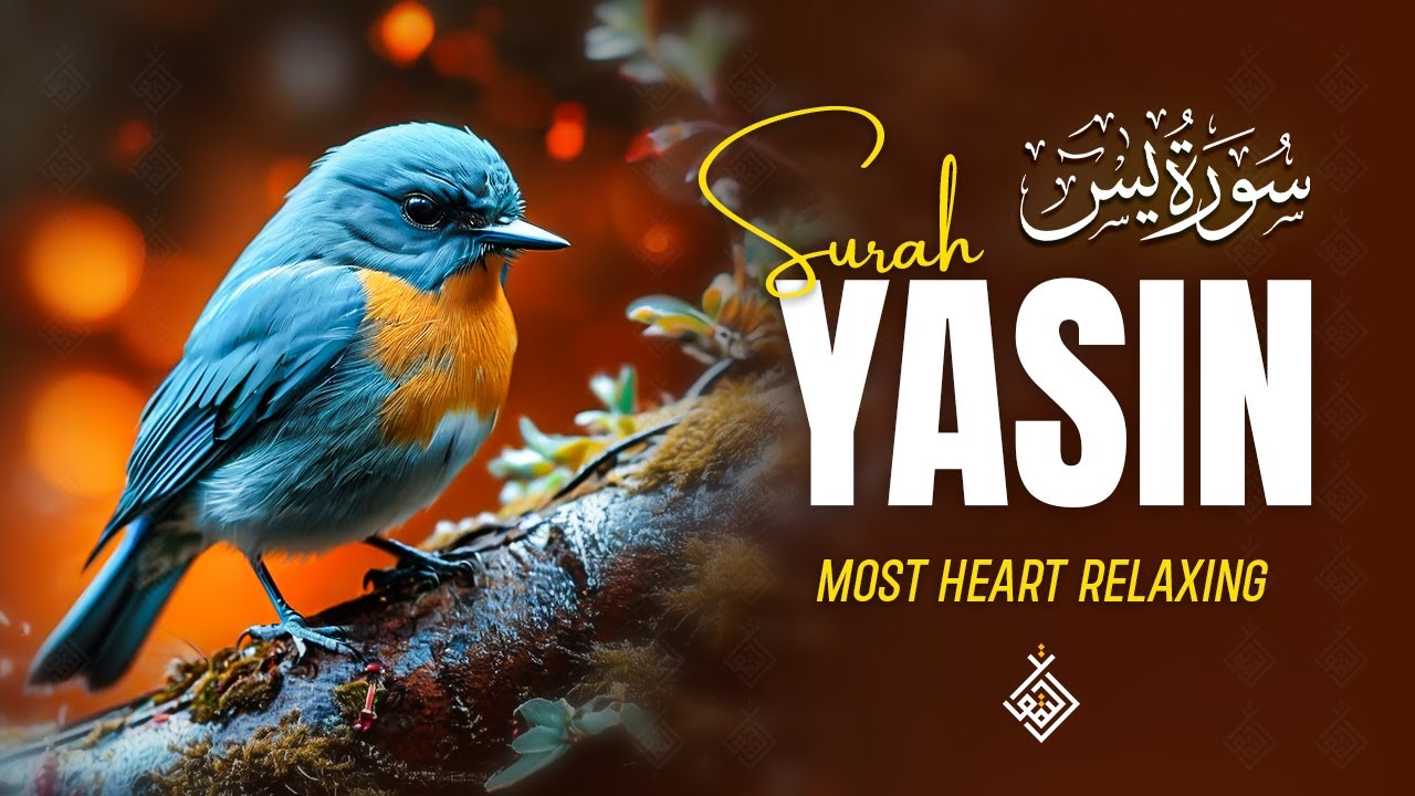 Surah Yasin (Yaseen) سورة يس | A Spiritual Rest in These Soft Words | Al-Taqwa TV