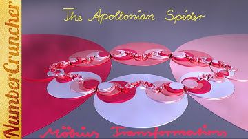The Apollonian Spider IV - Möbius Transformations