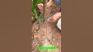 Self - made convenient fertilizing tools