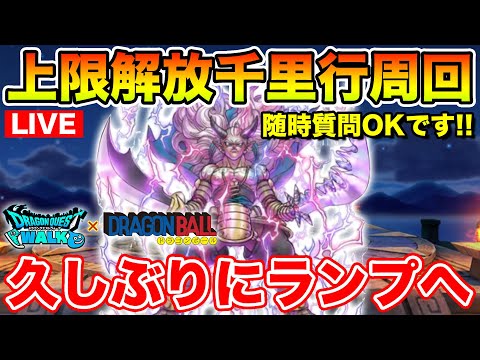 【ドラクエウォーク】久しぶりにランプを周回してみる!! 上限解放レベリング!!【DQW】