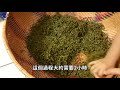 採茶與紅茶製作流程—紅茶自己做，做茶很難嗎？使用深坑當地茶葉，在家輕鬆做