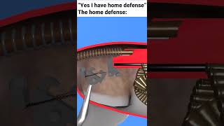 How A Cat Works Original