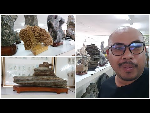 วีดีโอ: หินเปลือกหอยไครเมีย (22 รูป): ขนาดของหินเปลือกหอยจากแหลมไครเมียลักษณะของหินจากเหมืองซากิ