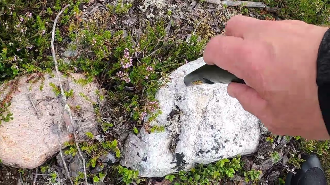 Så letar du efter mineraler på ett hygge !