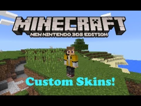 Random Skinpack Volume 1 [Minecraft: New Nintendo 3DS Edition] [Mods]