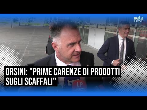 Video Conti pubblici, Orsini: Tutti i partiti lavorino alla stabilità del Paese