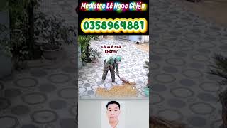 Hành Động Đẹp Của Nam SHIPPER #viral #tintuc #1thinhhanh #reviewvui #giaitri #reviewphim #news