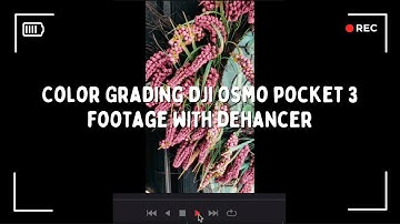 How to Color Grade DJI Osmo Pocket 3 Footage with Dehancer Film Emulation | Color Grading Tutorial