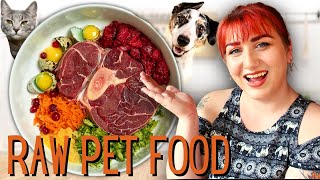 Benefits of Raw Food Diets For Cats and Dogs | Biologically Appropriate Meals