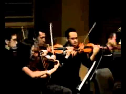 Antonio Vivaldi - Oboe Concerto - 1 mov.