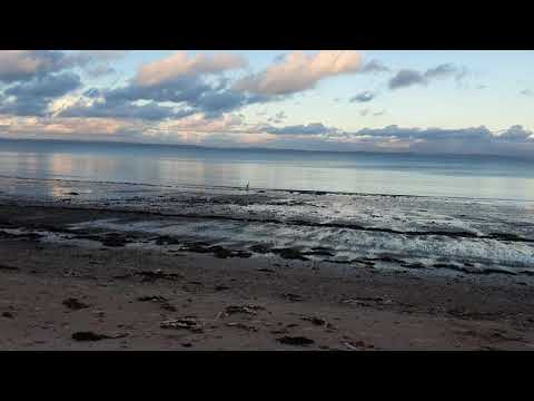 Crane🦩Bird, Walking On Scottish Beach ⛱ Amazing Views in Scotland 2021🏴󠁧󠁢󠁳󠁣󠁴󠁿