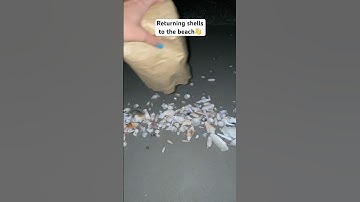 I find new shells often & can’t keep them all, so I do this.🐚🌊