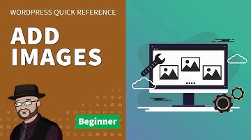 How to Upload or Add Images in WordPress