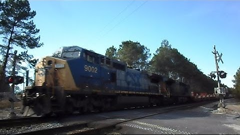 CSX Intermodal Train Echos From The Forest