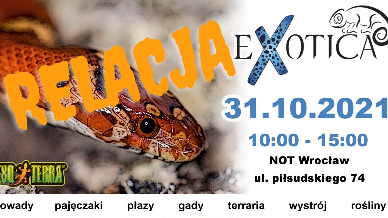 EXOTICA WROCŁAW 31.10.2021 - RELACJA