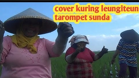 kuring leungiteun cover tarompet sunda leungiteun
